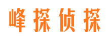 铁锋市调查公司